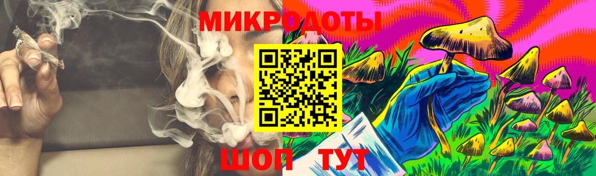 Псилоцибиновые грибы Psilocybine cubensis Оренбург