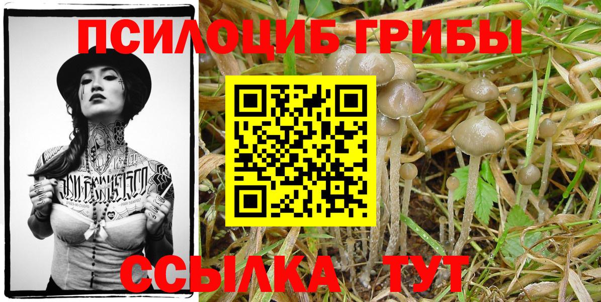 Оренбург  Галлюциногенные грибы GOLDEN TEACHER  Вход с VPN  Псилоцибиновые грибы Cubensis 